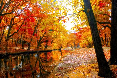 autumn forest background|autumn landscape desktop wallpaper.